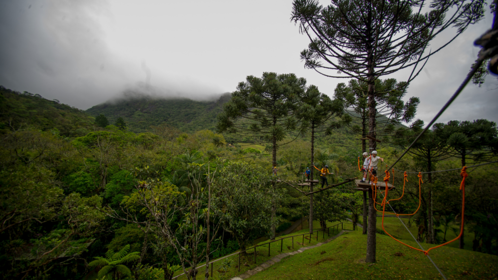 Inverno Em Santo Amaro Da Imperatriz: Viva Essa Experiência