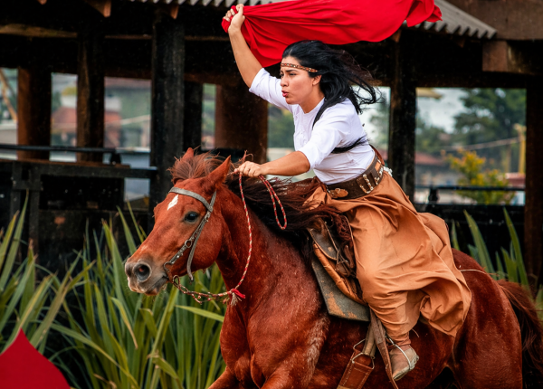 4d30e55a-973c-4957-92e1-e2e1ea9a3aa7