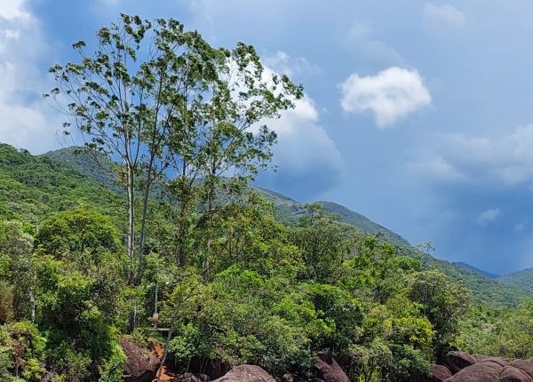 Cachoeira Cobrinho de Ouro (1)