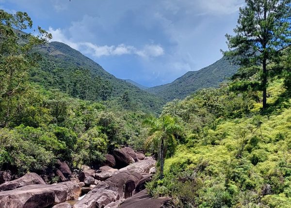 Cachoeira Cobrinho de Ouro (3)