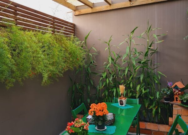 Café Sabores & Saberes (4)