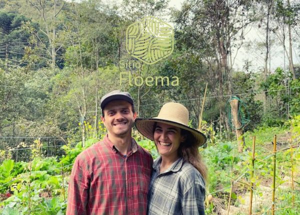 Floema (1)