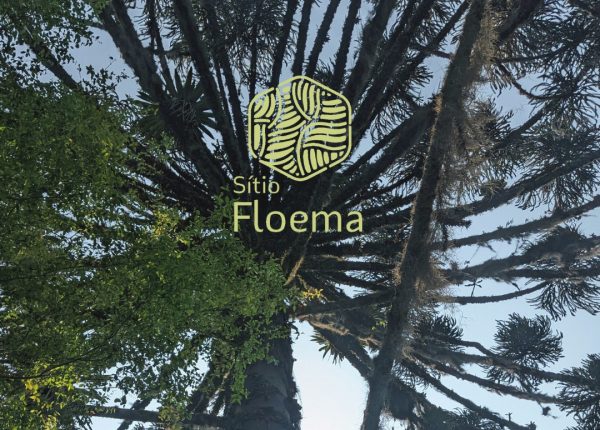 Floema (2)
