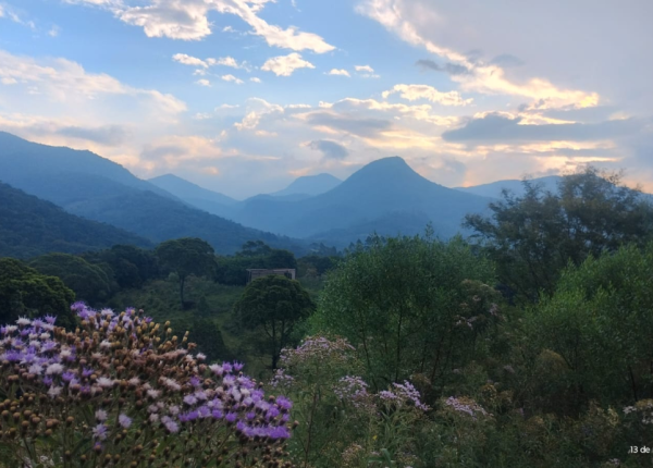 Instituto Jardim Gratidão